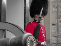 Facco-Grenadier Guards